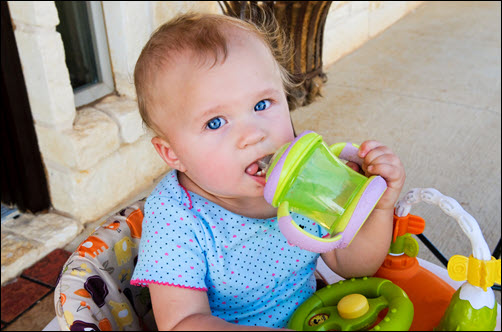 Bottles and Sippy Cups